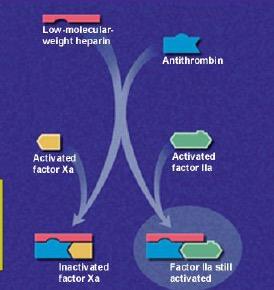 Düşük molekül ağırlıkı heparin (DMAH): mekanizma DMAH protokolü 4.5-6 kda T ½ 2-4 saat (böbrek yetersizliğinde artar) Anti FIIa aktivitesi Çok az Fiks doz vs anti- Xa bağlı doz Hedef anti-xa düzeyi 0.