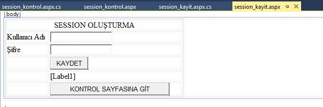 ÖRNEK 4 session_kayit.
