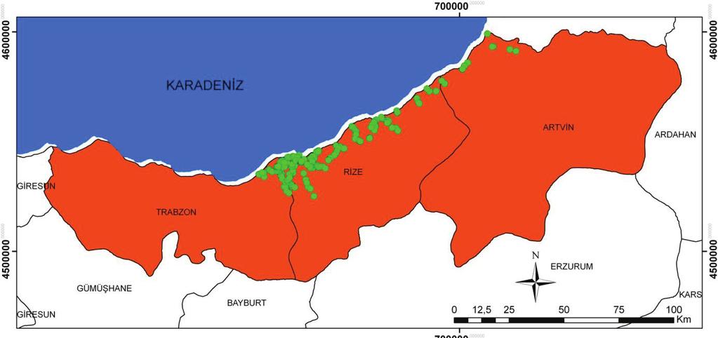 miktarları ile iki farklı biyolojik yöntem ile elde edilen çay bitkisine ait toplam Fe, Cu, Zn ve Mn miktarlarına ilişkin en düşük, en yüksek ve ortalama değerler Çizelge 3 ve 4 te verilmiştir.