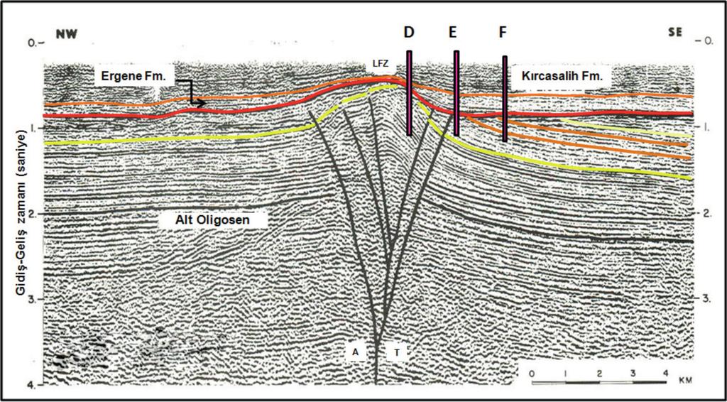 Danişmen Formasyonu Stratigrafisi ve Birim İçindeki Linyit Düzeylerinin Havzadaki Dağılımı, Trakya Havzası, Türkiye durumda varsayılan D kuyusunda Danişmen Formasyonu nun tümüyle aşınma olasılığı söz