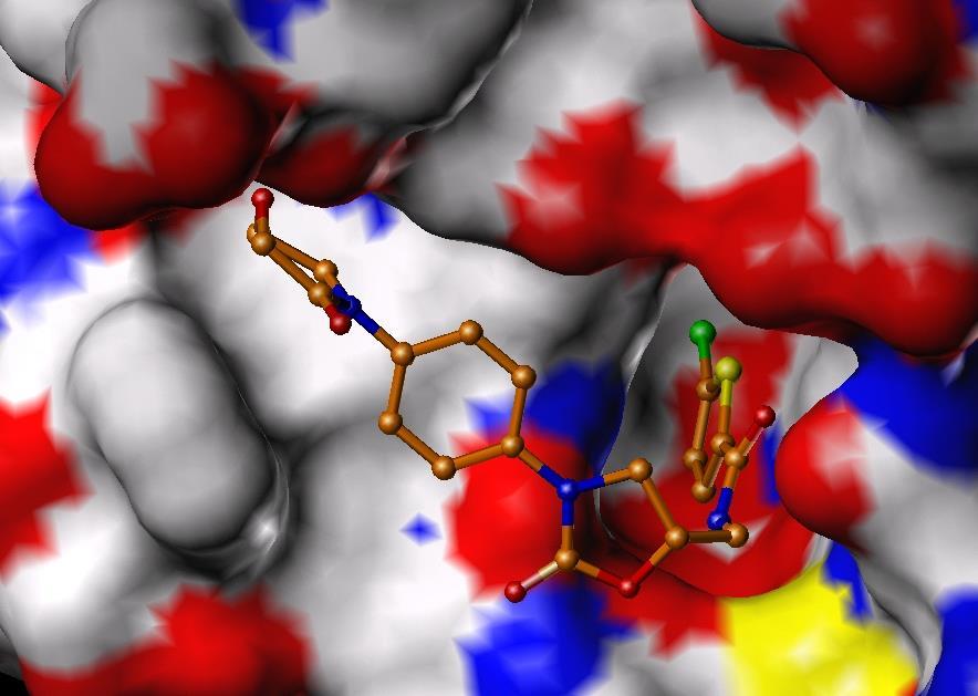 Rivaroksaban: ilk oral, direkt Faktör Xa inhibitörü Direkt, spefisik, rekabetçi Faktör Xa inhibitörü Serbest ve fibrine bağlı Faktör Xa aktivitesini ve protrombinaz aktivitesini inhibe eder Trombin