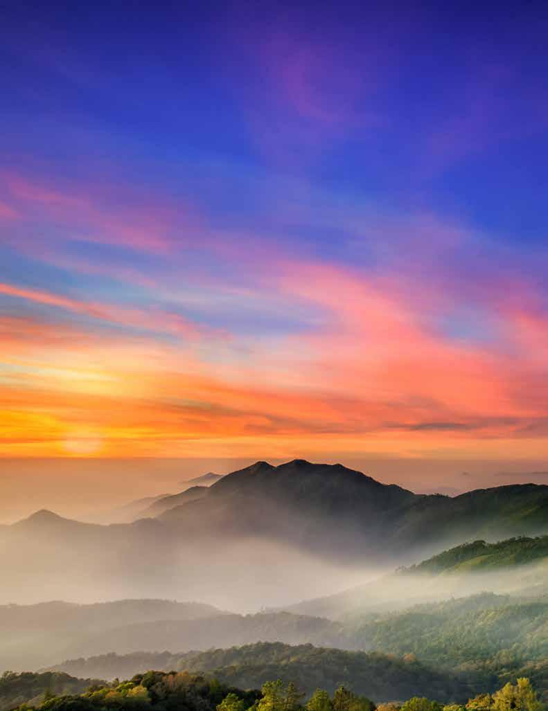 Hayatın Renkleri COLORS OF LIFE sıcak hava balonları HOT AIR BALLOONS Gökyüzünü süsleyen sıcak hava balonlarını seyretmeyi kim sevmez ki!