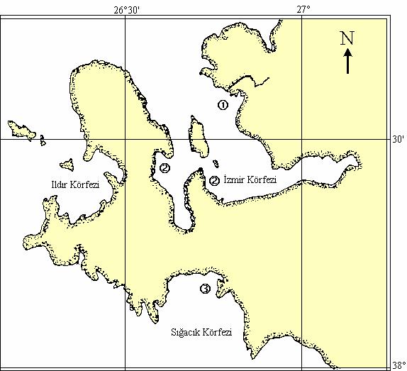 3 2.Materyal ve Metod: Çalışma 20.12.1998-15.11.2000 tarihleri arasında, Orta Ege Denizi nde; kuzeyde Foça, güneyde Sığacık Körfezi arasında kalan kısımda gerçekleştirilmiştir (Şekil 1).