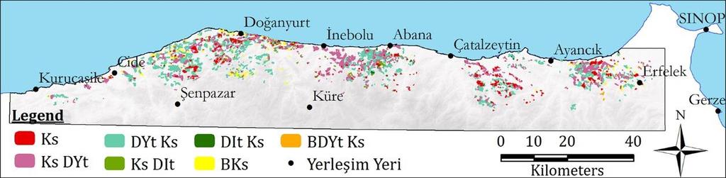 Şekil 3. İnceleme alanındaki saf ve karışık kestane ormanlarının mekânsal dağılımı DYt Ks 47% Ks DYt 32% Ks 11% BKs Dy 6% BDYt Ks 0,4% Ks DIt 2% DIt Ks 2% Şekil 4.