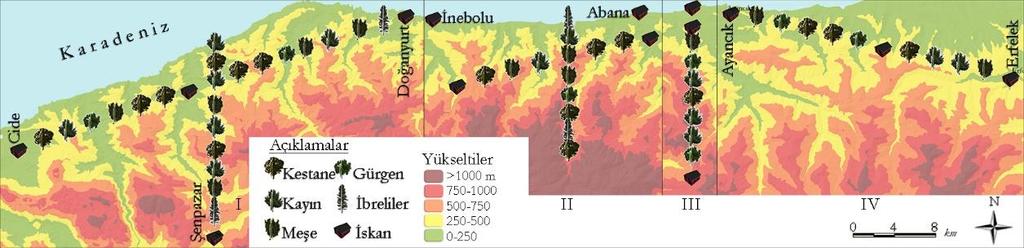 Belirlenen yükselti kademelerinden 500-750 m arası, tüm kestane ormanlarının yaklaşık %11 lik oranına ulaşır. Bu yükselti kademesinden sonra kestane orman alanlarında belirgin bir azalma görülür.