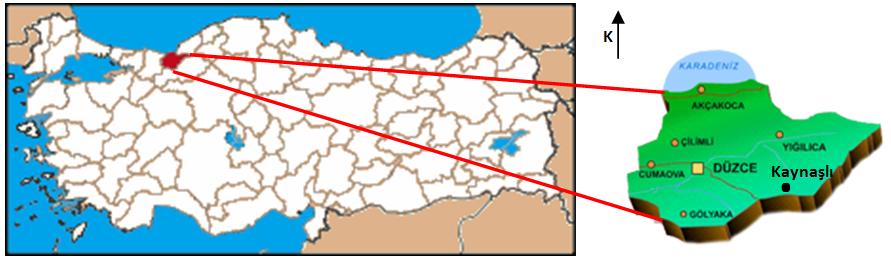 Şekil 1. Çalışma alanını (Düzce) haritası 2.