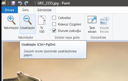 Windows Paint ile Fotoğraf Düzenleme Düzenlemek istediğimiz fotoğrafımızı windows paint uygulaması ile açıyoruz Görünüm sekmesinden fotoğrafımızın tamamını görene kadar