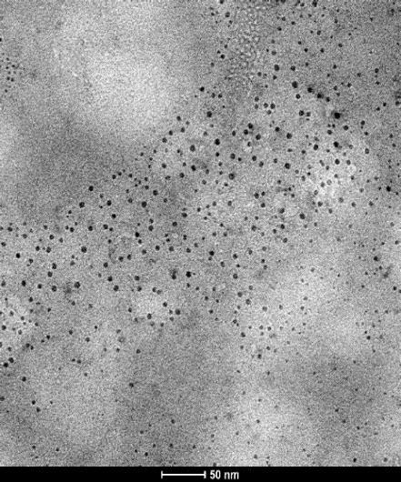 a b c Şekil 4.12. SDS-L-Lys-Cu +2 misel komplekslerinin CTEM görüntüleri. a) SDS derişimi: 10 mm; L-Lys-Cu +2 amino asit-metal kompleksi derişimi: 10 mm; Tampon çözelti derişimi: 10 mm NH4OAc, ph 9.