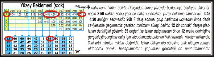 Dalış sonu grup harfi ve yüzey bekleme zamanı ile tekrar dalışın maksimum dip zamanının belirlendiği bölümün tanıtımı Eğer 16 metreye 30 dakikalık bir dalış planlamak istersek; öncelikle tablodaki