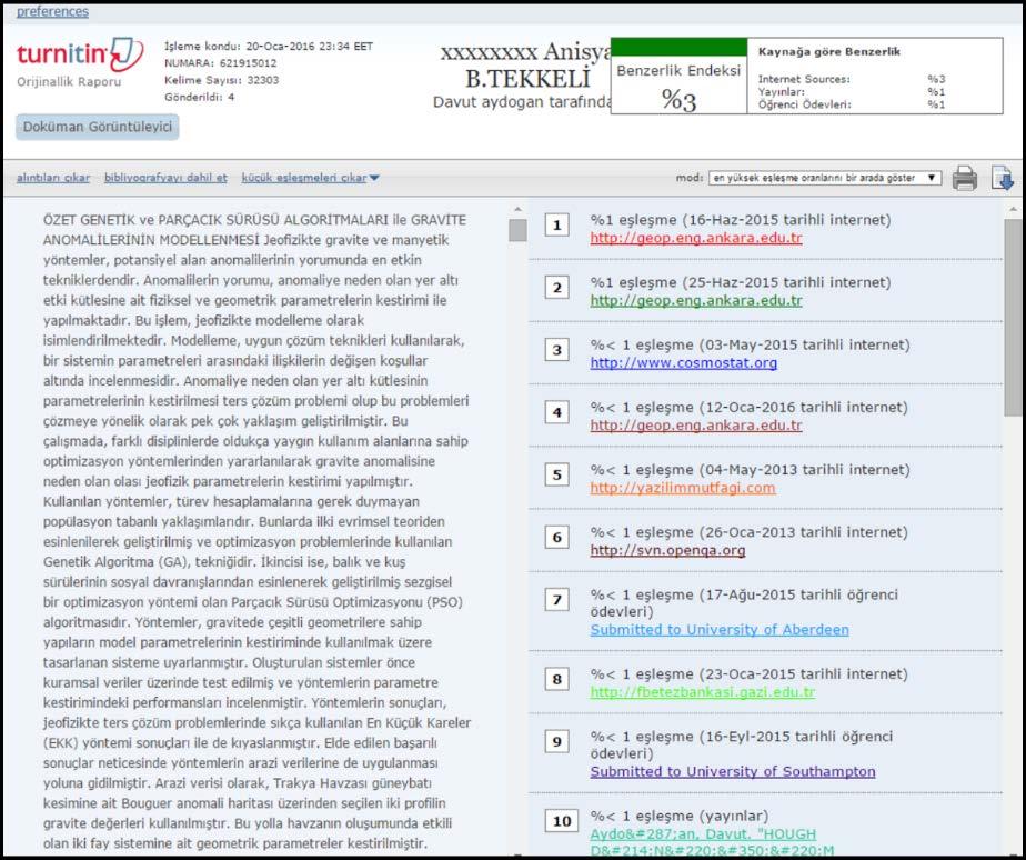 Bu pencere, Tezdeki eşleşmelerin metin şeklinde görüntülenmesine olanak verir.