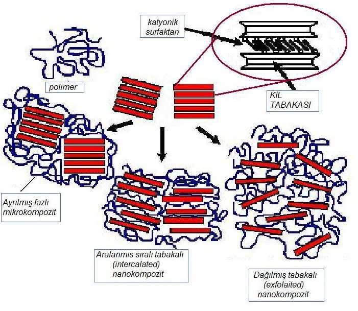 2.5.1 Polimer/kil nanokompozitlerin yapısı Kil tabakalarının polimer içerisinde dağılımına bağlı olarak polimer/kil nanokompozitlerinde gözlenen dört farklı yapı bulunmaktadır.