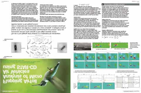 rpratları, Helikopterler Tablo 1: Farklı Mikro Hava Araçları kavramları (DGR-ONERA yarışması [21]. örnek prototiplerin üretilmesidir.