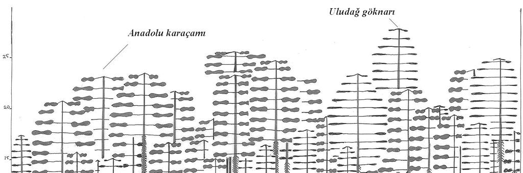 Şekil 4.