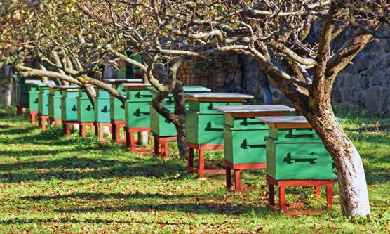 Keçi türü İnsan türü Çam türü Rüzgâr Güneş a) Bir popülasyon oluşturunuz. b) Bir ekosistem oluşturunuz. F. Aşağıdaki sorularda doğru seçenekleri işaretleyiniz. 1.