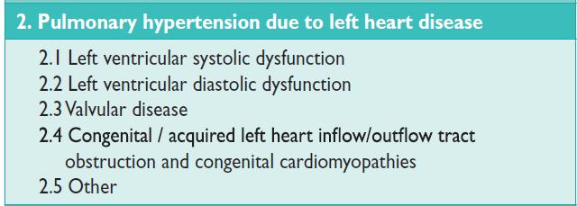 Grup II-PH (LHD-PH) 2.1- Sol ventrikül sistolik disfonksiyonu (HFrEF) 2.2- Sol ventrikül diyastolik disfonksiyonu (HFpEF) 2.3- Mitral ve/veya Aort kapak hastalıkları 2.