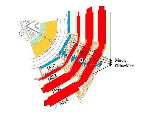 2. ÖNCEKİ ÇALIŞMALAR Erkan PINAR 2.3.4. Müon Odacıkları Müonları tanımlamak ve momentumlarını ölçmek üzere tasarlanan müon sistemi CMS kalorimetreleri ve bobinin hemen arkasına yerleştirilmiştir.