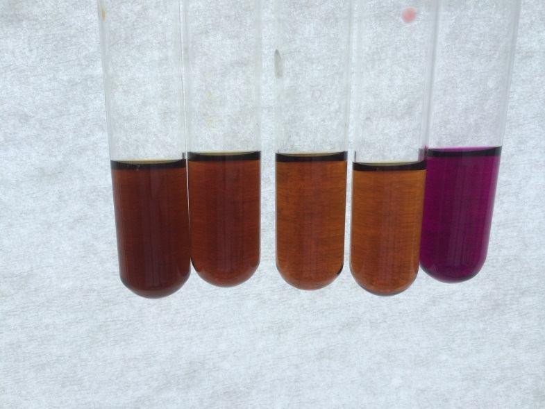 Tüp Kolonya(ml) 4 3 2 1 - Metanol(ml) - 1 2 3 4