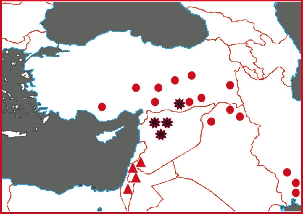 H. Yıldırım ve ark. / Bağbahçe Bilim Dergisi 3(1) 2016: 41-46 45 Taksonomik ilişkiler: Biarum aleppicum, ülkemizde Doğu ve Güneydoğu Anadolu bölgelerinde yayılışa sahip B.