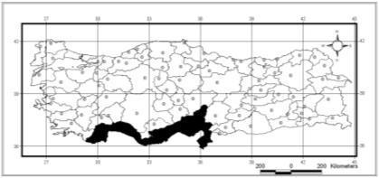 114 Türkiye yayılışı: Hatay, Adana, İçel [Lodos, 1998]; Adana : Yumurtalık, Kozan, Osmaniye : Kadirli, Hatay: İskenderun (Gedik, Merkez), İçel : Silifke [Tozlu & Özbek, 2000]; Türkiye [Sama &