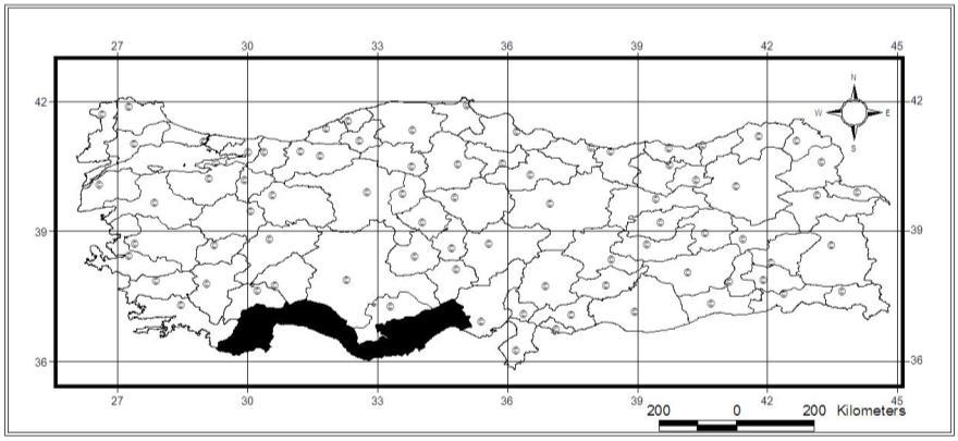 79 Genel morfoloji: Boy 16,5 mm. Baş ve pronotum koyu kırzımsı kahverengi; yüzeysel sık noktalıdır.