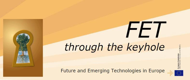 Bilimsel Mükemmeliyet Yeni ve Gelişen Teknolojiler (FET) Avrupa nın teknoloji geleceğine yön bulma Yeni araştırma ve inovasyon ekosistemleri oluşturma Büyük ölçekli inisiyatifleri