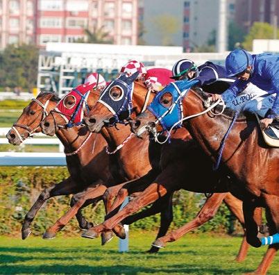 Waneta (3yş dd Mountain Cat - Blushing Doe, Running Stag), şampiyon jokeyi Halis Karataş ile kazandı. 1400 metre çim pistte düzenlenen 75.