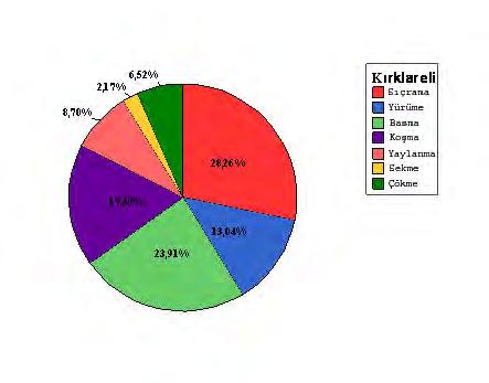 Kırklareli İli nde sergilenen oyunlar incelendiğinde; Temel Hareketler Grafik:7 Kırklareli ili nde sergilenen oyunların temel hareketlerinin dağılım yüzdeleri