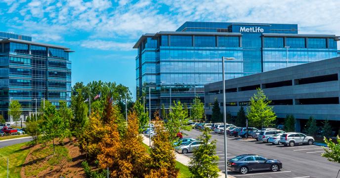 MetLife 2016 Kurumsal Sorumluluk Raporu Pozitif Etki Yaratma 21 Çalışanları değişim için harekete geçirme MetLife çalışanları, iş yerinde, evde ve yaşadığımız toplumda dünyamızı korumak için adımlar