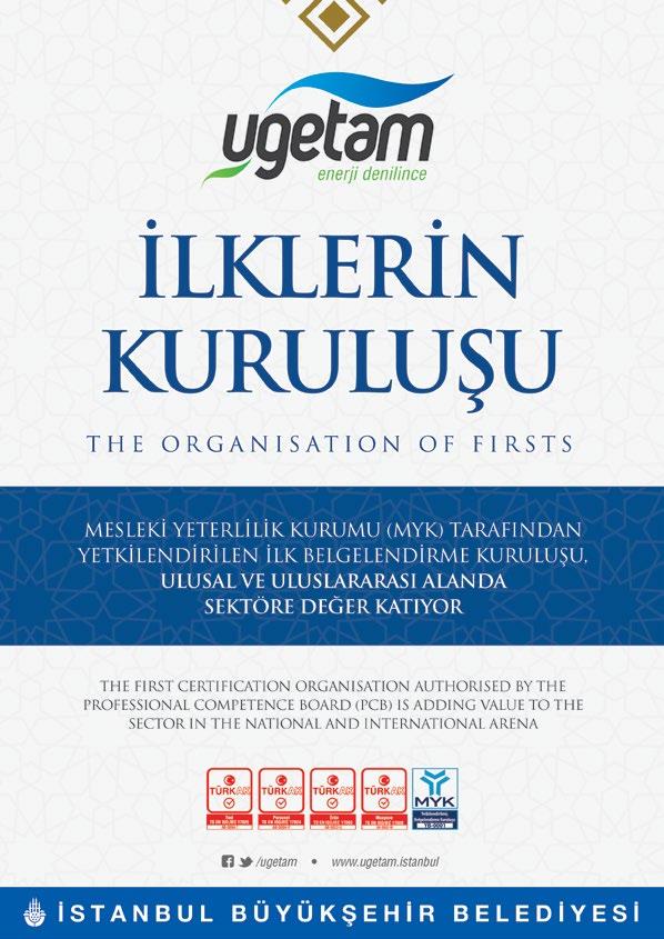 Özellikle gelişmiş ülkeler, Avrupa Birliği üyesi ülkeler ve AB ye aday ülkeler arasında iş gücünün serbest dolaşımı bir sorun arz etmekte ve bu doğrultuda meslek sahiplerinin uluslararası kabul