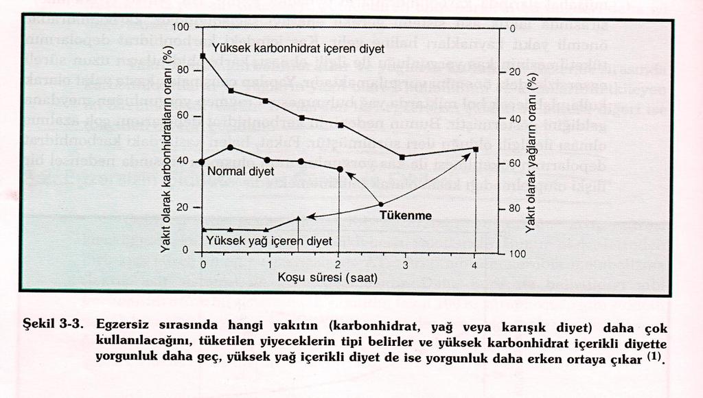 DIYETIN