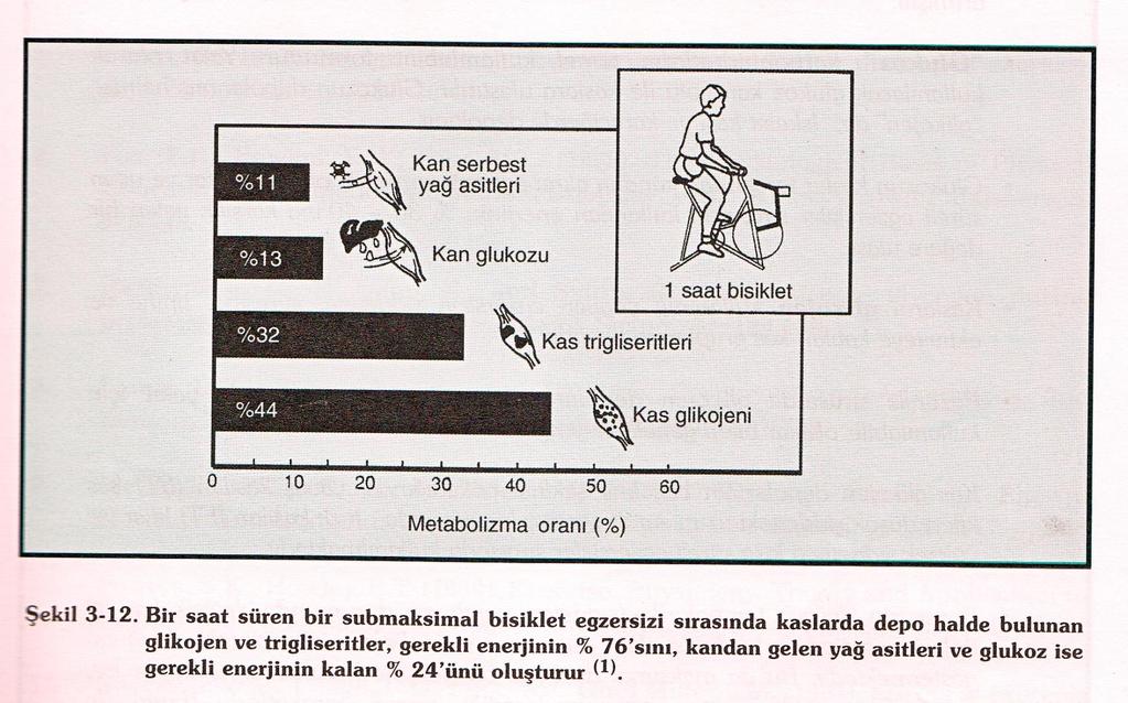 EGZERSİZ SIRSINDA