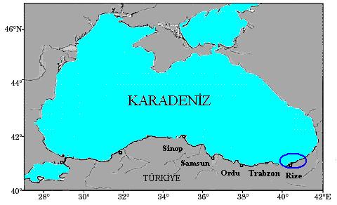 Giriş Gırgır balıkçılığı Dünya ve Türkiye deki su ürünleri avcılığının büyük bir kısmını oluşturmaktadır (Çelikkale ve ark. 1999).