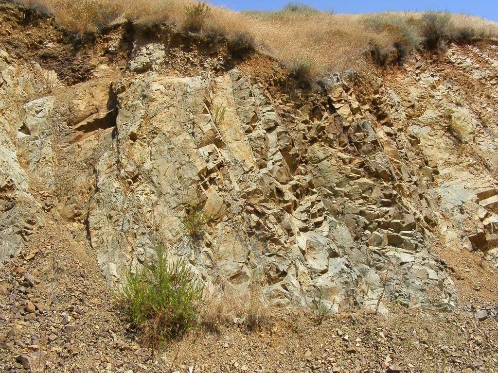 Ofiyolit dizisinin en üst kısımında yer alan volkanik karmaşık ise kötü korunmuş olup akıntı arası ve yastık arası çökeller içeren yastık lav akıntılarından oluşmaktadır (Şekil 2.3).