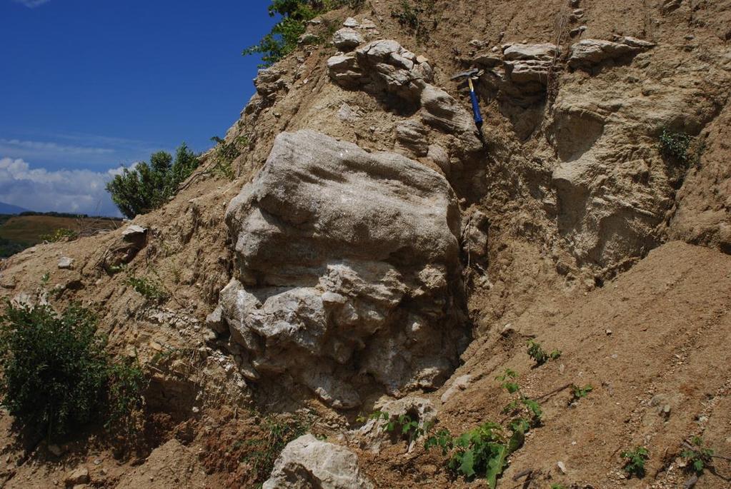 Formasyon alt kısımlarda killi kireçtaşı, kumtaşı, üstte doğru yer yer jips ve anhidrit içeren marn kiltaşı ardalanmasından oluşmuştur (Şekil 2.7).