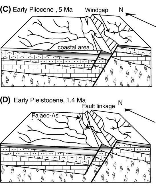 32 : Grabenin fay evrimini gösteren blok diyagramları. A) Geç Miyosen de (Tortoniyen), rölatif deniz seviyesi yüksektir.