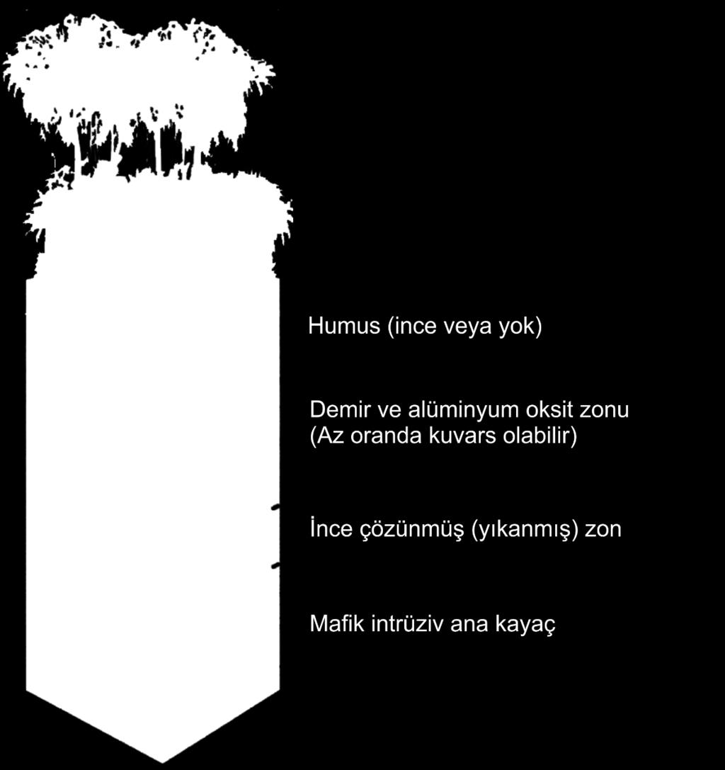 Demir içerikleri düşüktür ve genellikle ekonomik değildirler. Ancak bazik ve ultrabazikler gibi demir içeriği daha zengin olan kayaçlardan kaynaklanan bazı demirli lateritler ekonomik olabilir.