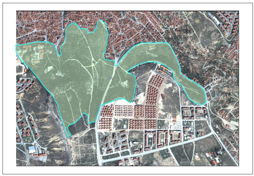 Uzaktan Algılama ve CBS Destekli Planlama Bilgi Sistemi: Eskişehir Kenti Yeşil