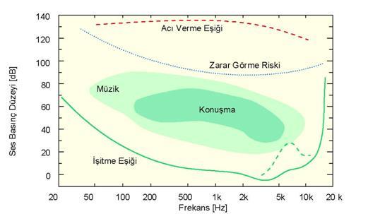 Zarar görme riskine ait çizginin üzerinde belirli bir süre kalınması halinde kalıcı işitme kayıpları oluşabilmektedir.