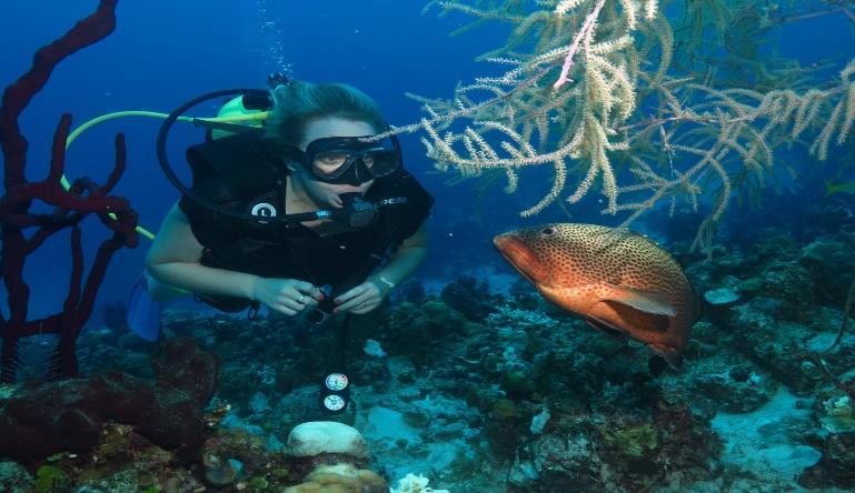 VARADERO 10:00 İstendiği takdirde SEAfari in Cayo