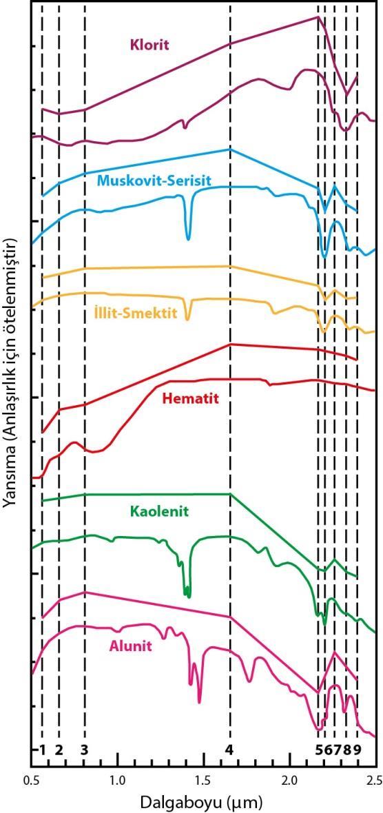 559 (muskovit, illit gibi) 1.4 ve 2.2 μm dalga boylarında kuvvetli absorpsiyon yapmaktadır (Pour ve Hashim, 2012).