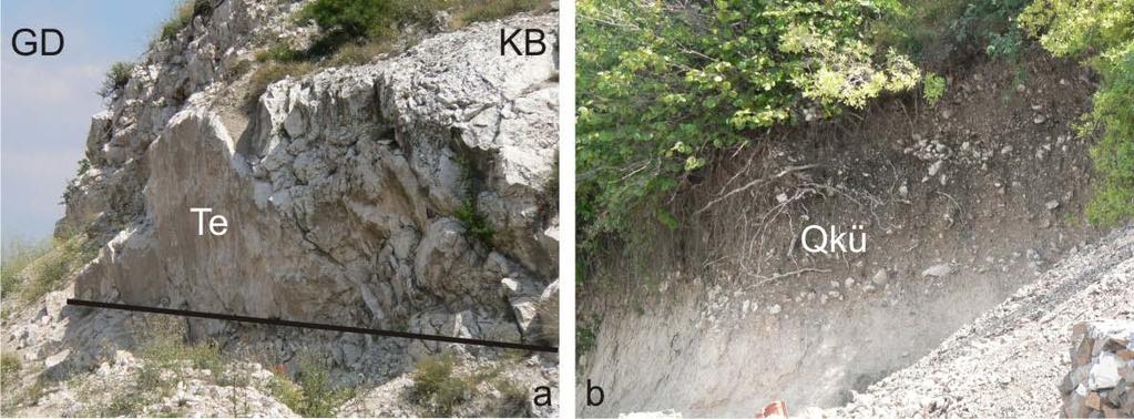 Koçyiğit ve Bozkurt (1997), Yellice Horstu nun doruklarından grabene doğru akarak, horstu enine kateden derelerin, yataklarını 700 m derine kazdıklarını belirtmiştir.