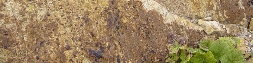 Birime stratigrafik istifteki konumuna dayandırılarak verilen Pleyistosen yaşı grabenin de açılma yaşına karşılık gelmektedir.