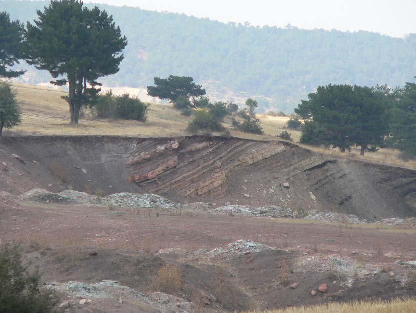 mostralarını yakalamak zordur.