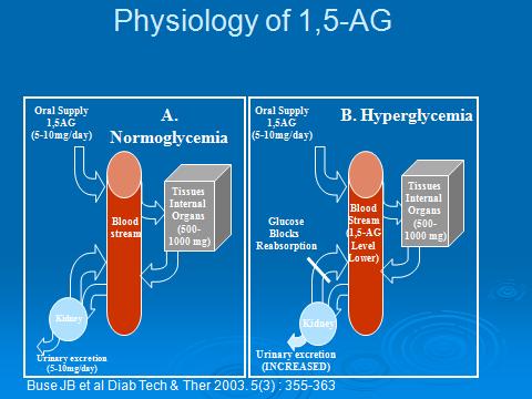 1,5-AG Fizyolojisi Glukoz için renal eşik değeri aşıldığında, 1,5-AG'nin geri emilimi azalır ve idrarla atılır Serum düzeyleri 1-3 gün arasında anlamlı olarak düşer Normal seviyelerine dönmesi