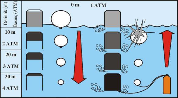 İlk 10 metredeki basınç hacim değişimleri tüpteki havanın sualtında yaklaşık olarak ne kadar kullanılabileceği de hesaplanabilir.