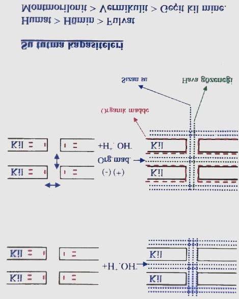 yardımcı olur. Toprakta bitkinin kök gelişmesini teşvik eder C.