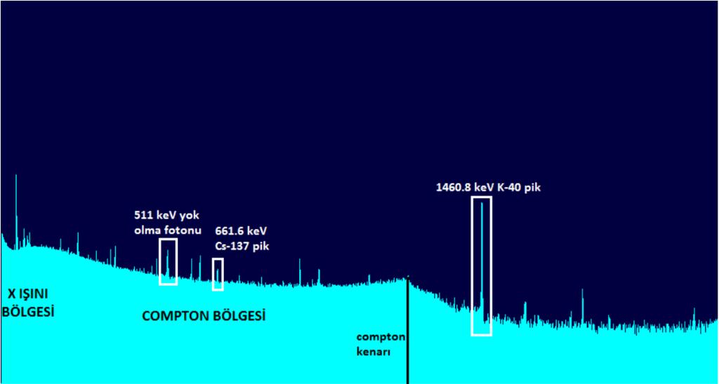 10 Yarı-ömrü nispeten kısa olan radyonüklidler için örneğin toplandığı zamanki aktivitesini (A 0 ) bulmak için fiziksel yarı-ömür düzeltmesi yapılmalıdır.