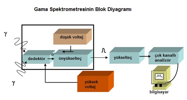 9 Gama spektrometresinde Aktivite Hesabı A = PA t m ϵ Iγ A- Spesifik aktivite (Bq kg -1, Bq g -1, Bq l -1 ) PA- Radyonüklidin spektrumdaki pik alanı t- Sayım süresi (saniye) m- Örnek ağırlığı (kg, g)