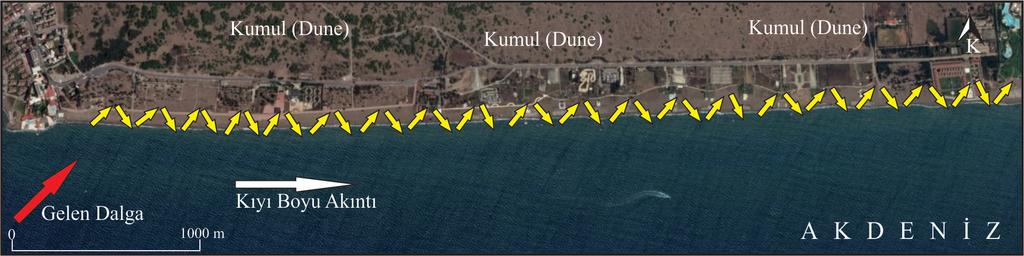 Longshore current and sediment transportation model of the Konyaaltı and the Lara beach KATKI BELİRTME sağlayan Nizamettin Kazancı ya (AÜ), makalenin ilk düzeltmelerinde eleştiri ve önerileriyle