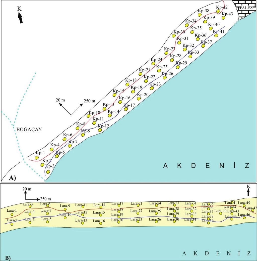 Koray Koç, Erdal Koşun, M. Erkan Karaman yapılmıştır. Örneklemeler kıyıya paralel 250 m de bir, kıyıya dik yönde 20 m de bir olup, her noktadan yaklaşık 2 kg örnek alınmıştır (Şekil 3).